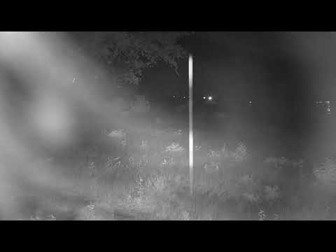 Djuma: Lone Hyena walks by and then back the other way - 21:55 - 01/25/21