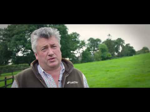 Volpone Jelois Ditcheat ThoroughbredsUpdate October 2016 with Paul Nicholls