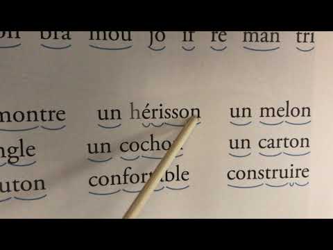 "Safari dans la savane " —Taoki pages 78-79/ son « ON »