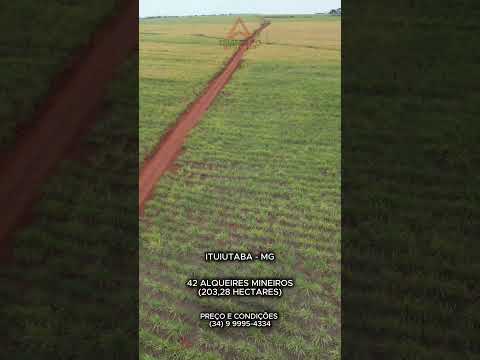 Fazenda à venda em Ituiutaba com 42 alqueires mineiros - Triangulo Mineiro - Minas Gerais