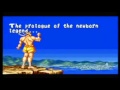 Fatal Fury 1 Joe
