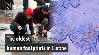 The earliest human footprints outside Africa found in Norfolk | Natural History Museum
