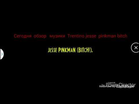Trentino jesse pinkman bitch