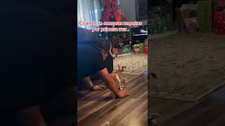 Download lagu Dog wearing shoes for the first time 😆 mp3