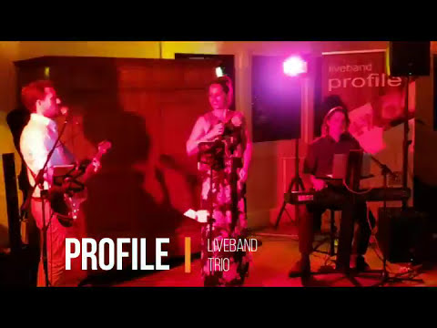 Liveband PROFILE Trio   Liveausschnitte
