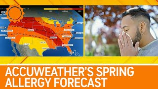 AccuWeather's 2025 Spring Allergy Forecast