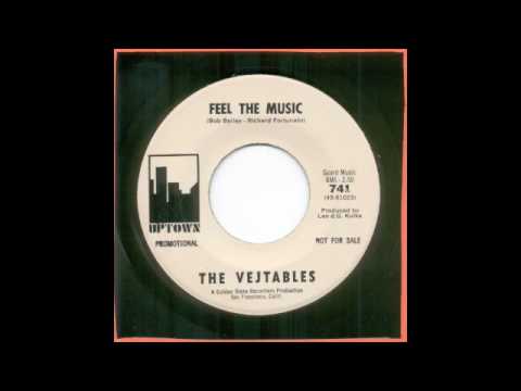 VEJTABLES-FEEL THE MUSIC