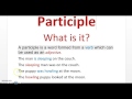 Participle, What is it?
