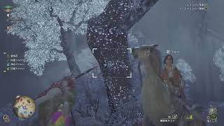 虹色ドスヘラクレスやっとみつけたー！！！！！ | #maaaa0613 (#Twitch)