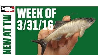 What's New At Tackle Warehouse 3/31/16