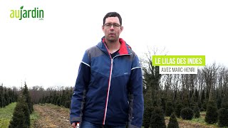 Click here to play the video
