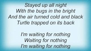 Sparklehorse - Waiting For Nothing Lyrics