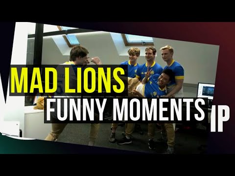MAD Lions funny moments