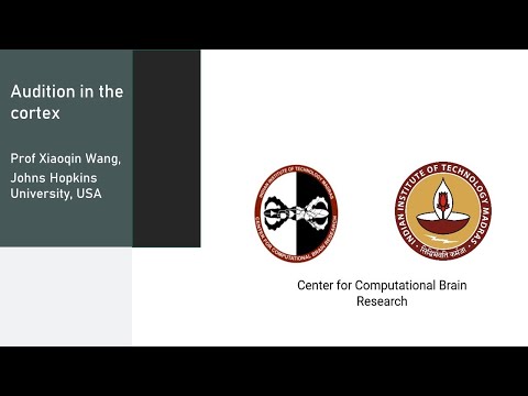 Audition in the cortex- Prof Xiaoqin Wang