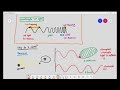 Understanding Light Microscopy: Wavelengths and Visualization Limits