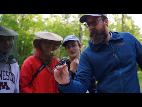 Field biology program | College of Biological Sciences