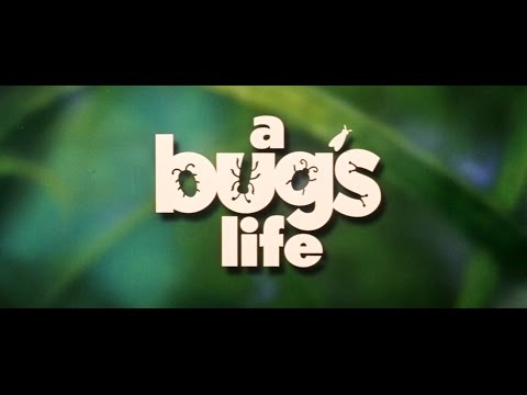 A Bug's Life