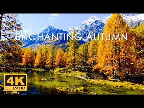 11 HRS Incredible Fall Foliage - Best 4K Autumn Nature Scenes from Around the World + Calming Music