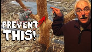 6 Ways to Protect Trees from Mice and Rabbit DAMAGE or Girdling