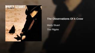 The Observations Of A Crow