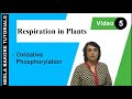 Respiration In Plants NEET Oxidative Phosphorylation Neela Bakore Tutorials
