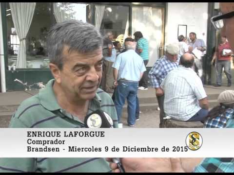 09-12-15 Nota Enrique Laforgue - Jauregui Lorda - Brandsen.