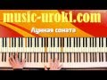 Бетховен Лунная соната / Beethoven Moonlight (piano cover + tutorial ...