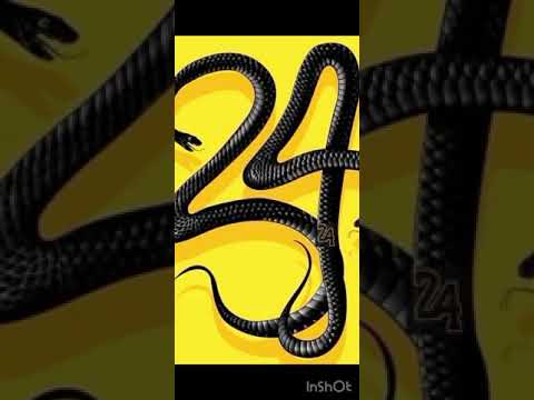 Izzo 24 - Im Back (Official Audio) #24 #FreeDaGuyz