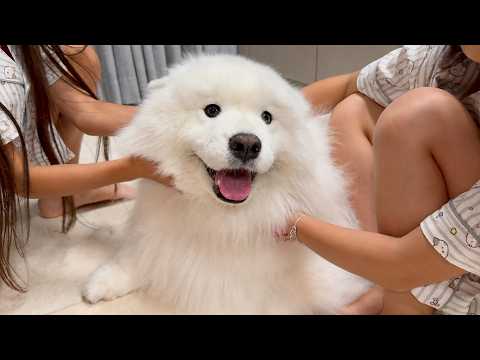 YouTube 썸네일
