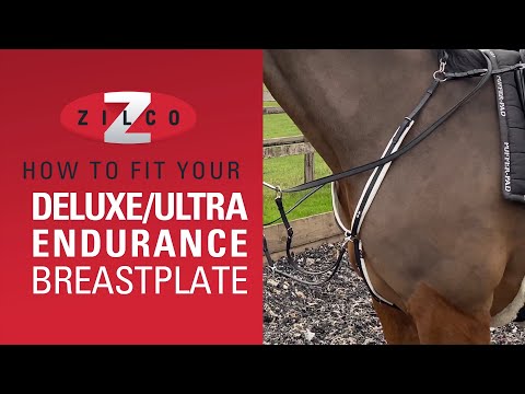 YouTube video about: How to fit a breastplate on a horse?