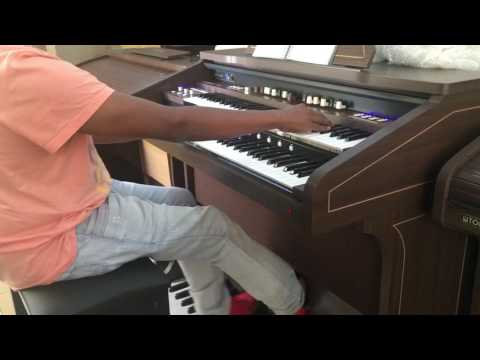 Órgão Eletrônico TOKAI T1 2 - Loja GUIMARÃES COMERCIAL - Instrumentos e Acessórios