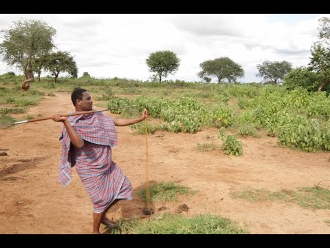 How to Throw a Spear Like a Real Maasai Warrior