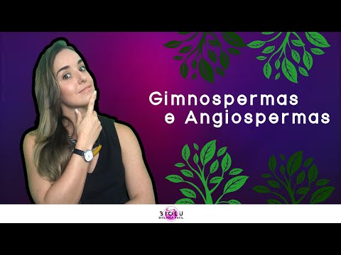 GIMNOSPERMAS E ANGIOSPERMAS - BOTÂNICA | Prof. Louise Medeiros