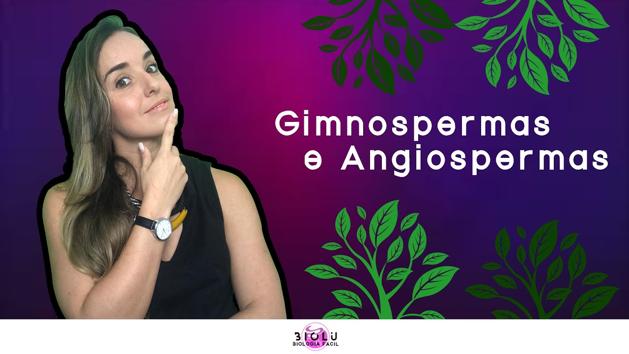 GIMNOSPERMAS E ANGIOSPERMAS - BOTÂNICA | Prof. Louise Medeiros