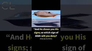 Download lagu 812 Al Quran surah verse recitation tilawat #alquran #quran #surah #verse #recitation #tilawat #zain mp3 Download lagu 812 Al Quran surah verse recitation tilawat #alquran #quran #surah #verse #recitation #tilawat #zain mp3
