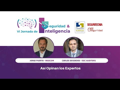 Así opinan los expertos