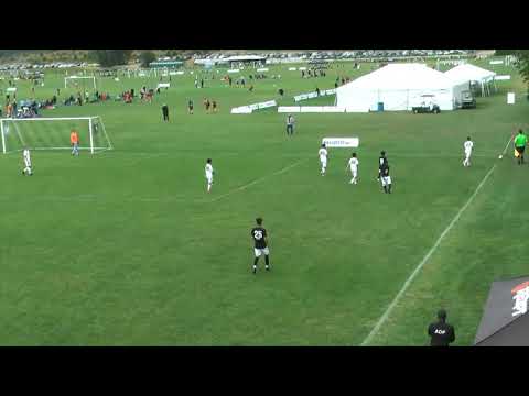 ADF  Portland Summer Highlights