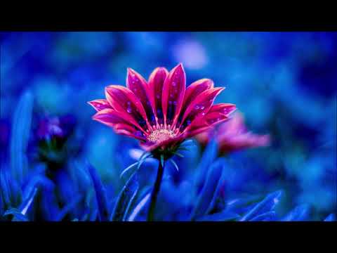 KAKO GOVORITI - KAKO BITI SAMOPOUZDAN, POZITIVAN I OPUŠTEN / BRAJAN TREJSI