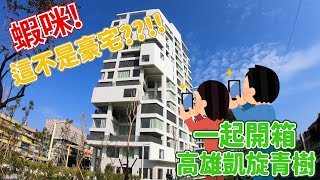 [閒聊] 凱旋青樹 社會住宅 參觀影片