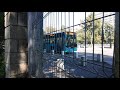 Autobuzul Otokar Kent C Pe Linia 201 Fosta 601 Filmat Din Gradina Botanica