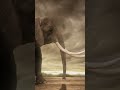 Amazing Facts About Elephants You Won't Believe!