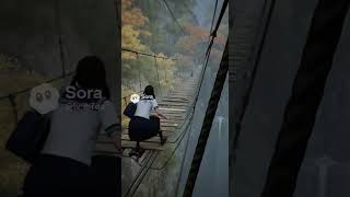 女子校生がバグのように橋から落下する。 #ai #sora #shorts