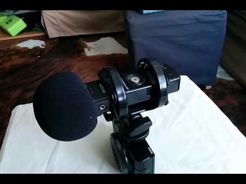Zoom h1 + Rx100 mk2 shock mount