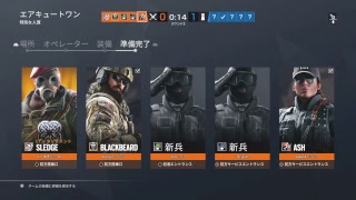 キュートなシージ
