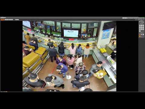 Dahua IP Camera IPC EBW81242 Fisheye camera with people counting function