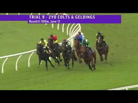 Mawjood trials at Rosehill