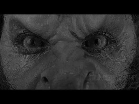 2 - LA BESTIA - SILENCIO SE HABLA  (RADIOTEATRO DE SUSPENSO)