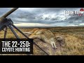 The 22 250 Coyote Hunting