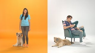 Dogtopia Daycare: We Put Your Dog First