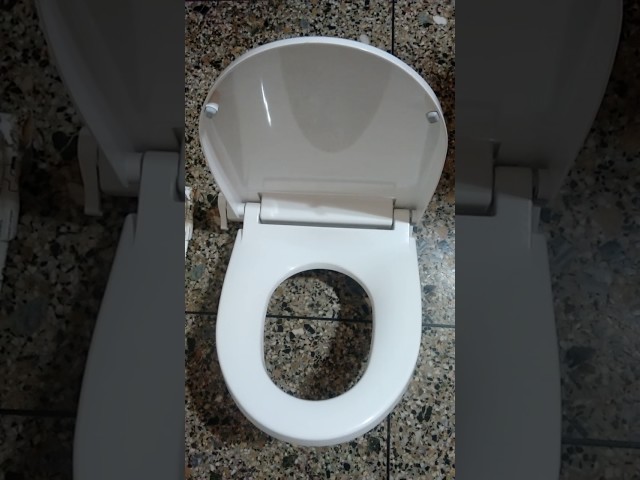 Vídeo relacionado con Pegatina para la tapa del inodoro: «Use the Force» – Lámina de transferencia
